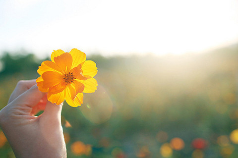 角质层过薄该如何维护，这几个常识你得了解