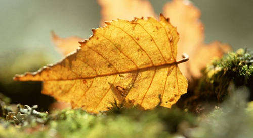 敏感肌干燥起皮怎么办，敏感肌自救指南，起皮泛红都不怕